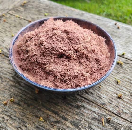 Buy Mimosa Hostilis Root Bark Shredded